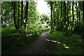 Footpath in Bestwood Country Park