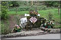 Evendine Spring - Well Dressing 2009