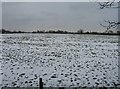 SU6362 : Empty fields in winter by ad acta