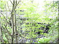 Holcombe Road Bridge over the River Ogden