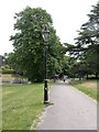 Branksome, lamp post