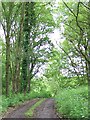 Footpath near Lodsworth