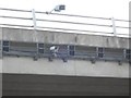 NY3367 : Detail of surveillance camera, A6071 bridge over M74/M6 Gretna by Phillip Williams