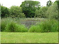 Pond at Northland Farm