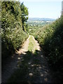 Looking down the track from Marcle Hill to Kynaston