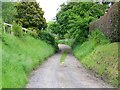 Footpath, West Worldham