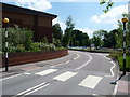 Exeter : Royal Devon & Exeter Hospital - Pedestrian Crossing