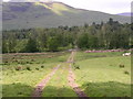 Farm track near Milton of Buchanan