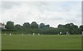 Cricket Pitch - Horsfall Playing Fields - Cemetery Road