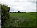 Farmland above Bailey Farm