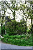 NJ9329 : Esslemont Castle by Andrew Wood