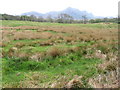 Near Rhian Bridge towards Ben Loyal