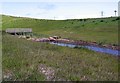 Artificially created valley wetland