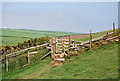 NX9413 : Kissing gate on the coast path by N Chadwick