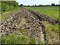 Making a start on the Ploughing