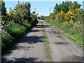 On the dismantled railway track