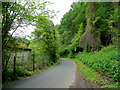 SO4914 : Lane through Brooksholm Wood by Jonathan Billinger