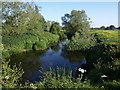 River Avon near Lacock (2)