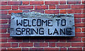 Welcome to Spring Lane