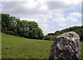 Stone pillar near woodland