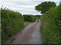 Lane at Cadham