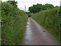 Lane at Cadham