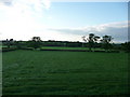 South Somerset : Grassy Field, Trees & Hedgerow