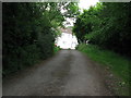 Row of cottages by footpath at the north end of Lindfield