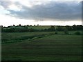 Mendip : Countryside & Grassy Field