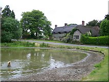 ST9117 : Ashmore Pond by Maigheach-gheal