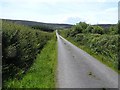 C5945 : Road at Carrowmeanagh by Kenneth  Allen