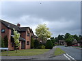 Houses along Stone Lodge Lane