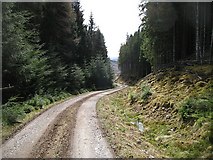 NH4067 : Logging road, Longart Forest by Richard Webb