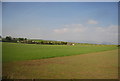 Stubble Green across the fields