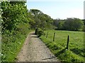 Footpath near Broomhill Manor, Poughill