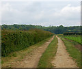 TF9702 : Farm track near Woodrising by Andy F