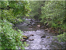 SX5178 : River Tavy by Rob Purvis