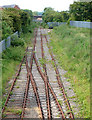 Truncated railway near Rugby cement works (2)