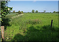 Field and Overgrown Stream, Kiplin