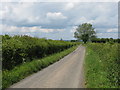 Quiet Back Lane Near Ashperton