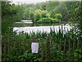 Sweetwater Pond by Water Lane near Milford