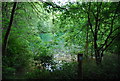 Pond, Hoad Common