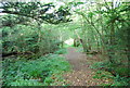 Bridleway, Dene Park (3)