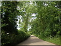 Country lane, near Franklin