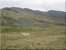SH6534 : Northern Rhinogs by Peter S