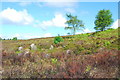 Harden Moor Stone Circle