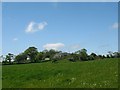 View across meadow land towards Deri-isaf