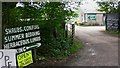 Plant sale on the A286 near Haslemere