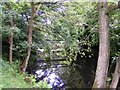 River Nidd and Bridge