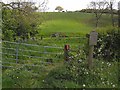 Valley of the Staindale Beck